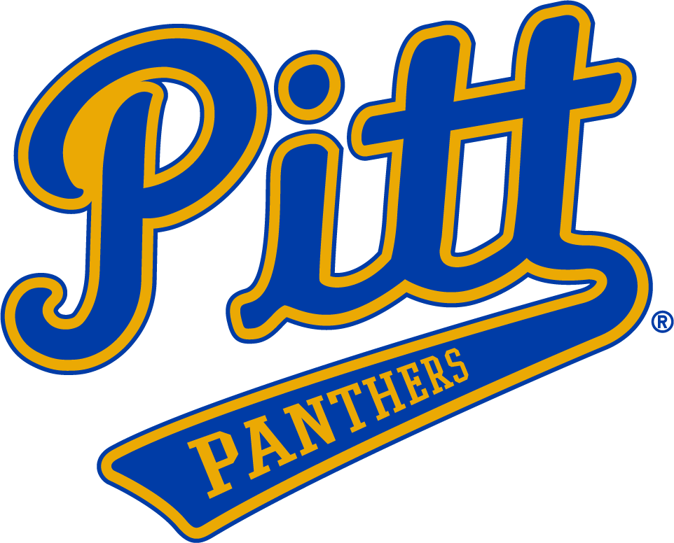 Pittsburgh Panthers 1970-1987 Alternate Logo diy DTF decal sticker